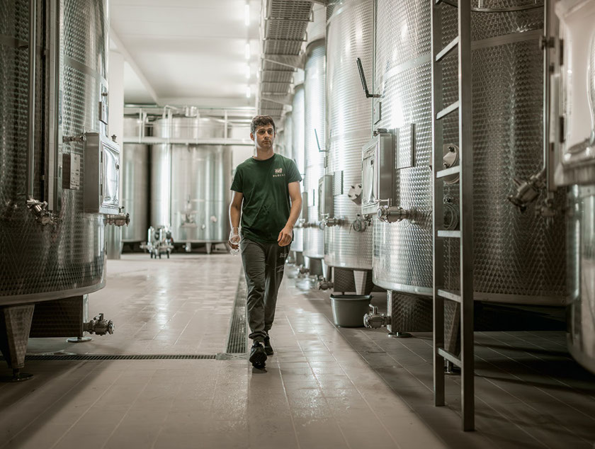 La cantina all'avanguardia Angelo Rebuli_840