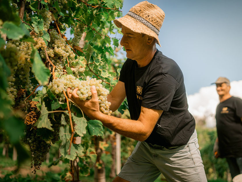 Operazioni svolte a mano Rebuli_840