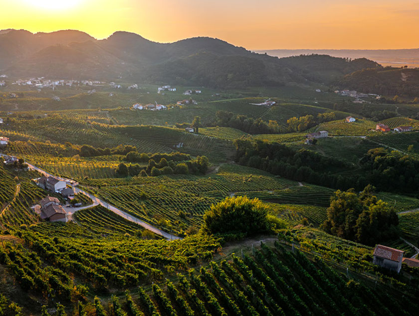 Panoramica colline Valdobbiadene Rebuli