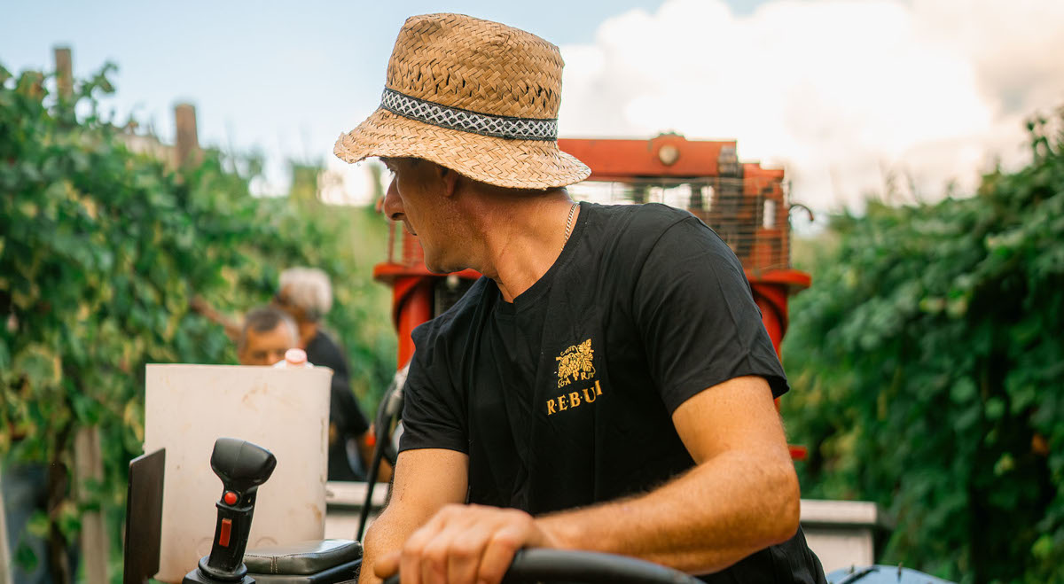 2-Lavorazione Rebuli